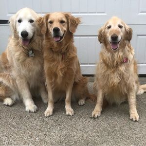 Meet your Posher, Linda